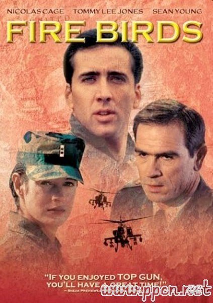 Fire Birds (1990) poster